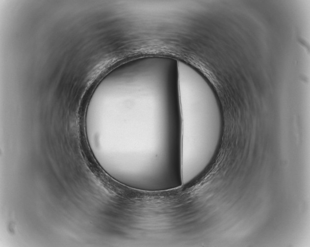 X0000095510626200712140935