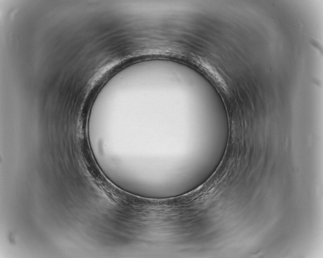 X0000095510628200712140935