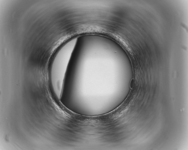 X0000095510629200712140935