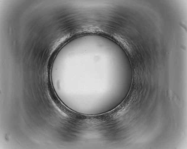 X0000095510630200712140935