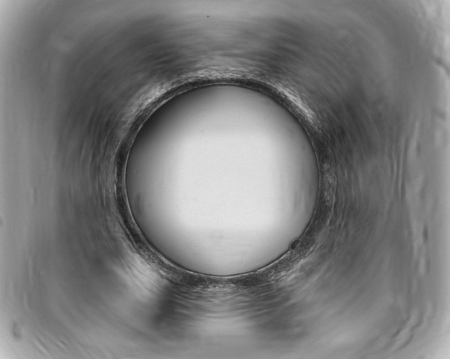 X0000095510631200712140935
