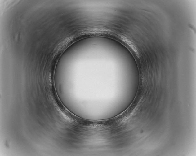 X0000095510633200712140935