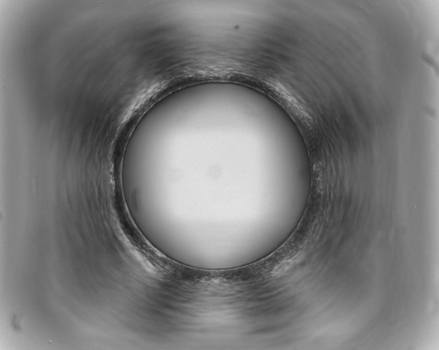 X0000095510634200712140935