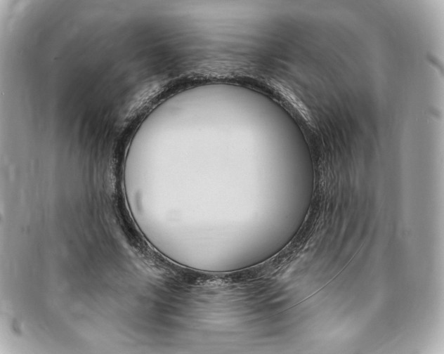 X0000095510635200712140935