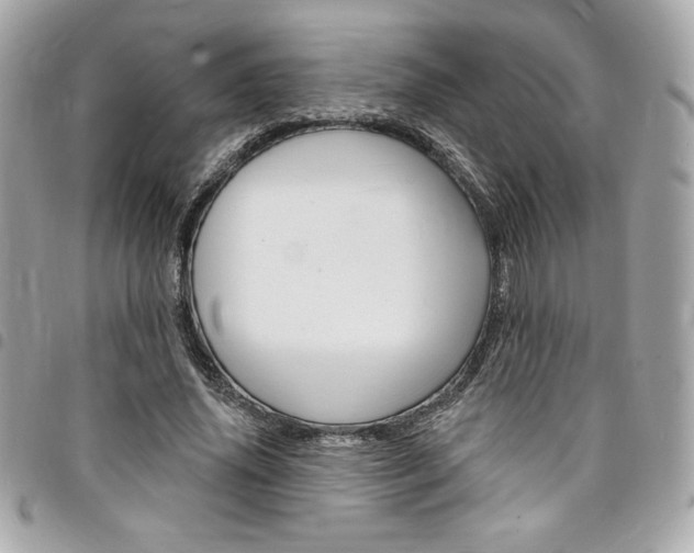 X0000095510636200712140935