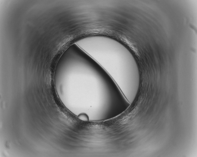 X0000095510637200712140935