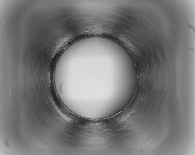 X0000095510638200712140935