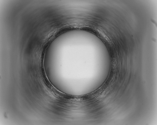X0000095510639200712140935