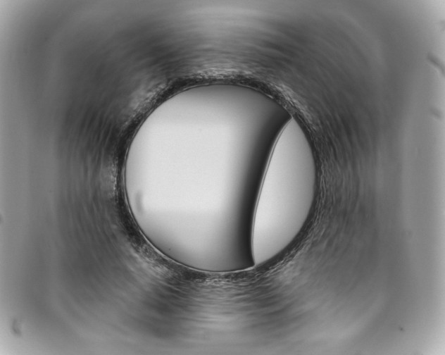 X0000095510640200712140935