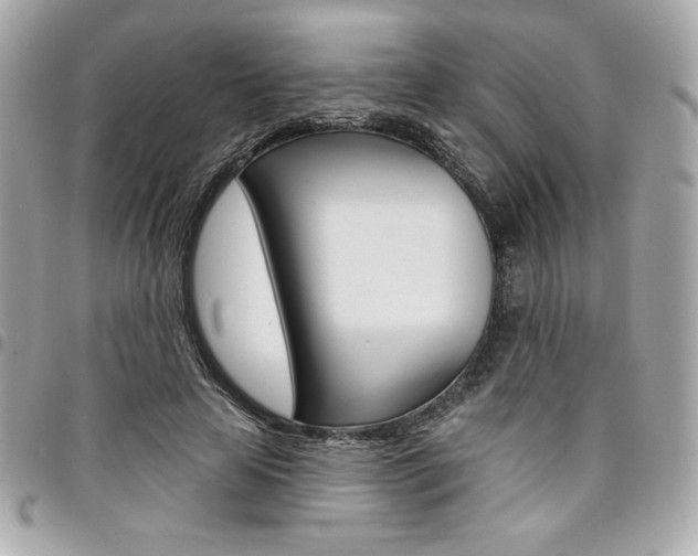 X0000095510641200712140935