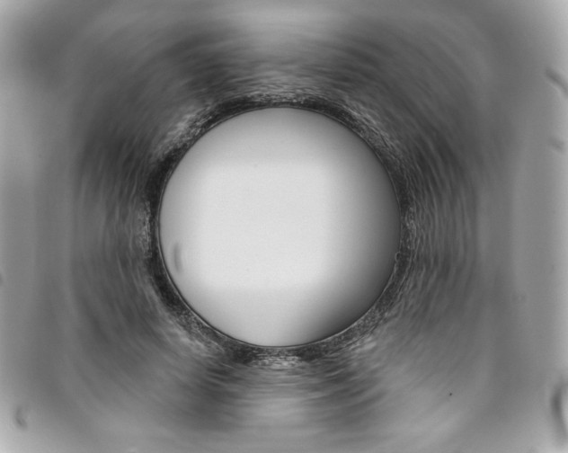 X0000095510642200712140935