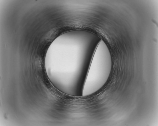 X0000095510643200712140935
