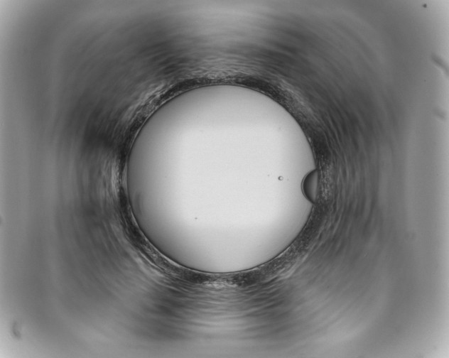X0000095510644200712140935