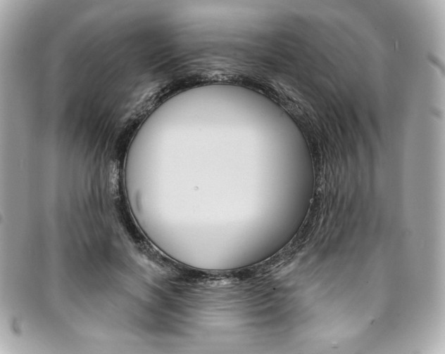 X0000095510646200712140935