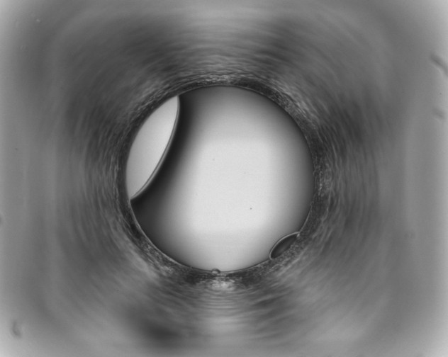 X0000095510647200712140935
