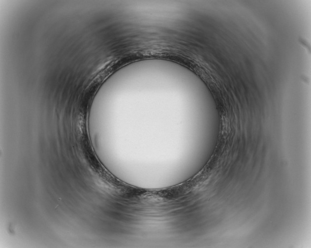 X0000095510648200712140935