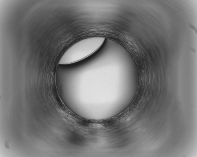 X0000095510649200712140935