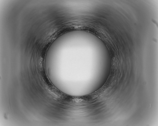 X0000095510650200712140935
