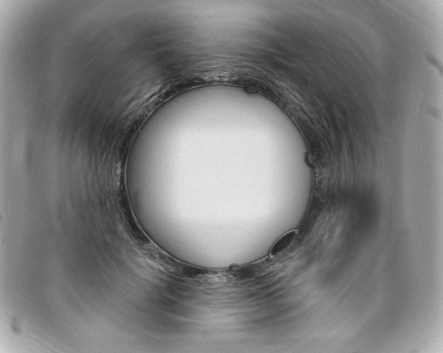 X0000095510652200712140935