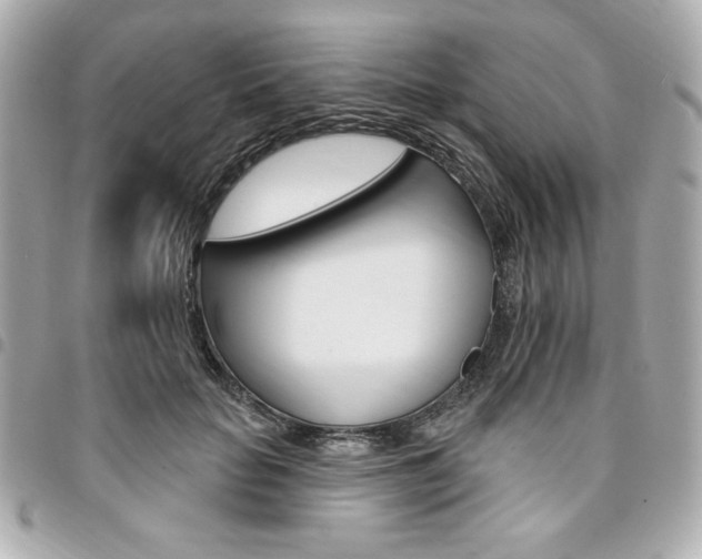 X0000095510653200712140935