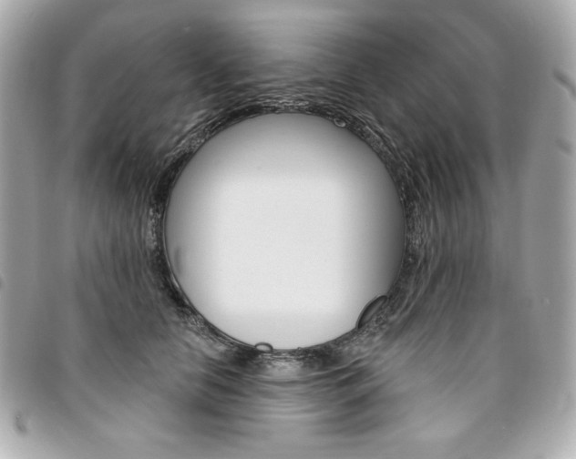 X0000095510658200712140936