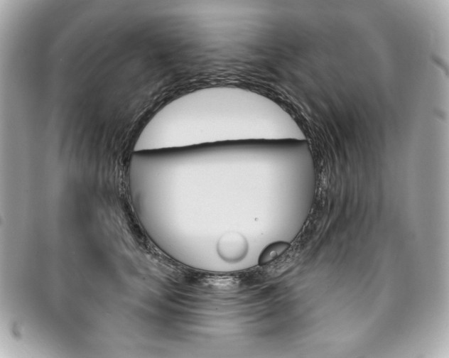 X0000095510659200712140936