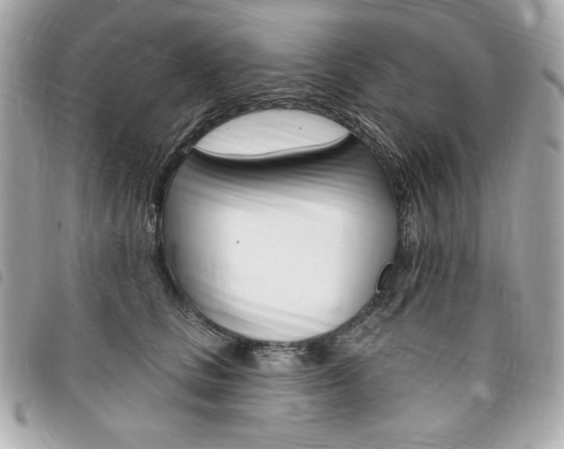 X0000095510661200712140936