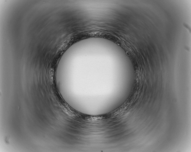 X0000095510664200712140936