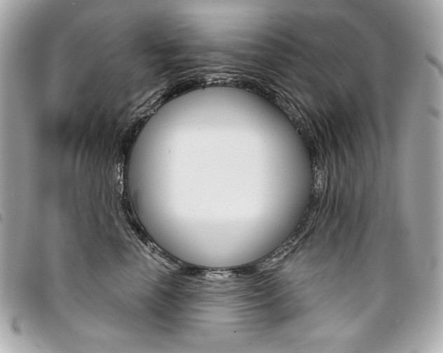 X0000095510666200712140936