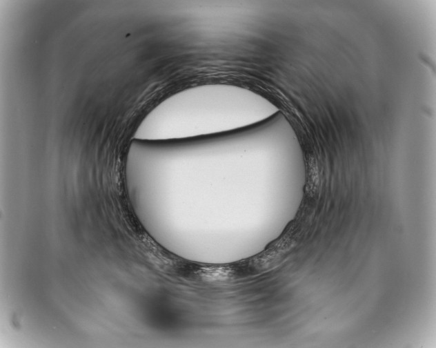 X0000095510667200712140936