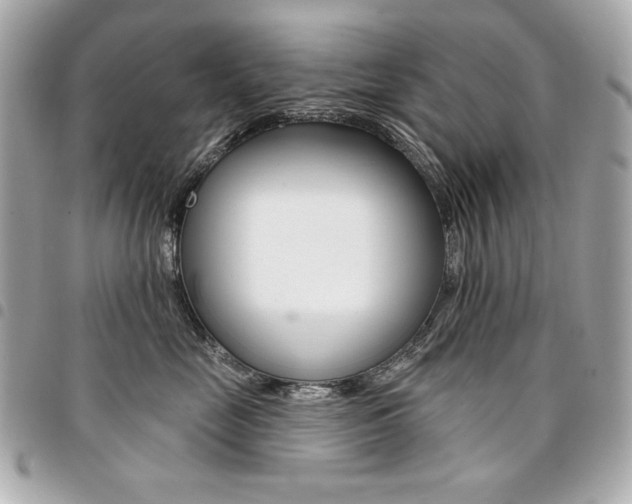 X0000095510669200712140936