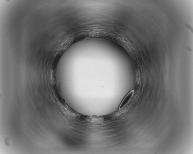 X0000095510670200712140936