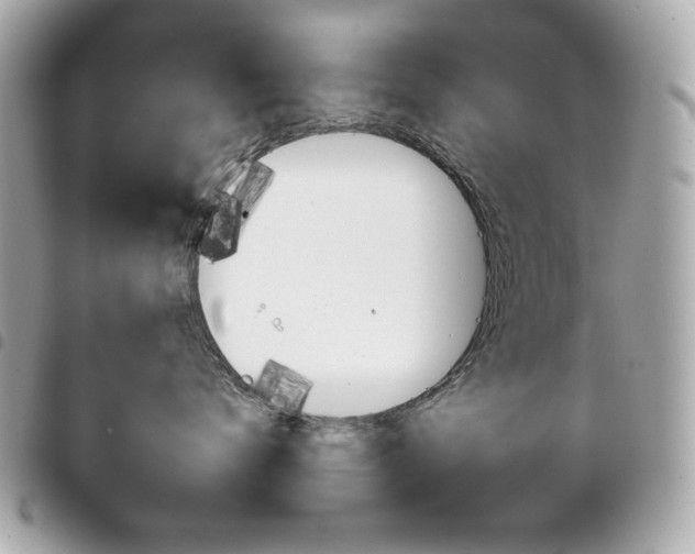 X0000095510672200712140936