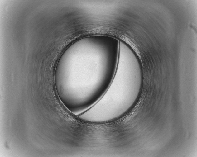 X0000095510673200712140935