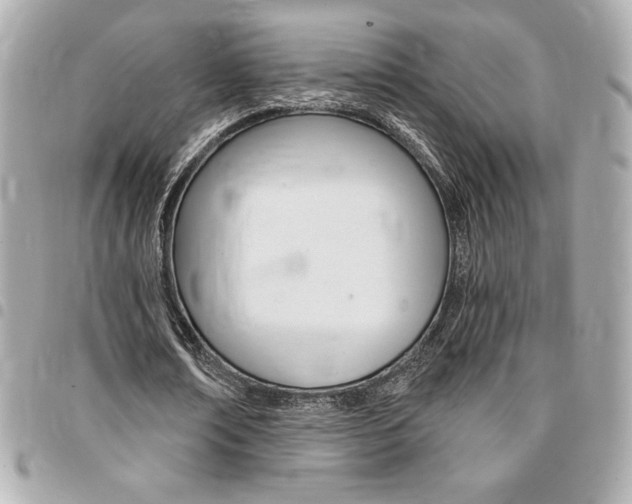 X0000095510674200712140935