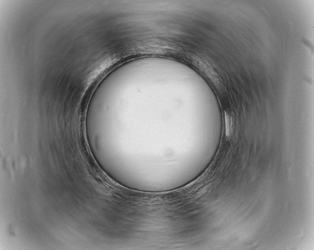 X0000095510675200712140935