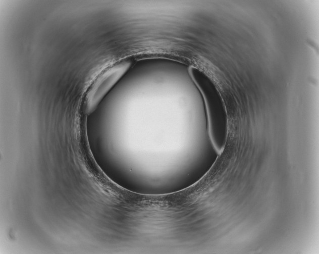 X0000095510676200712140935