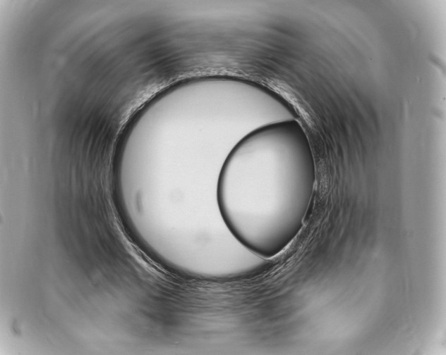 X0000095510677200712140935