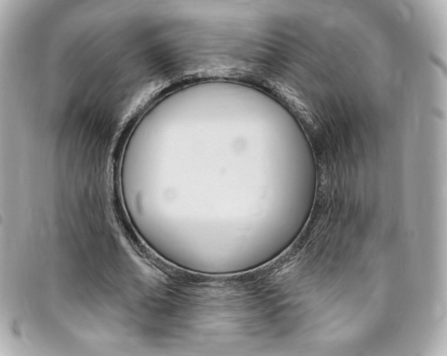 X0000095510678200712140935