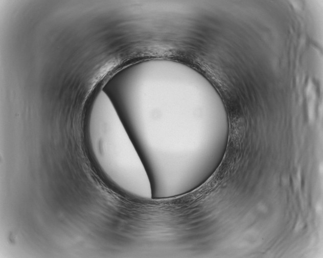 X0000095510679200712140935