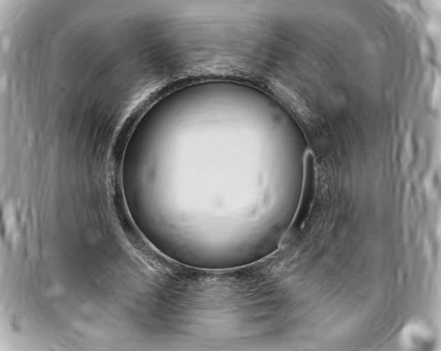 X0000095510680200712140935