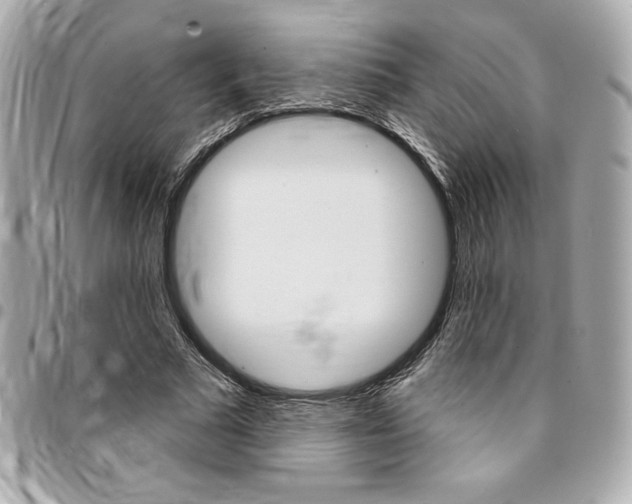 X0000095510681200712140935