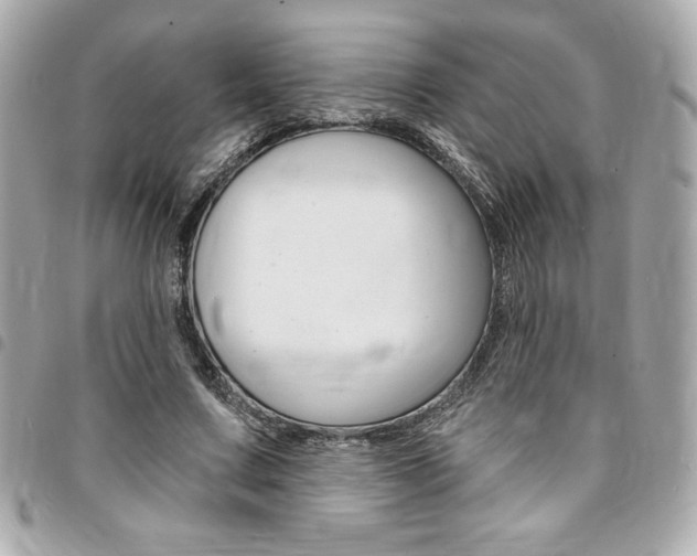 X0000095510683200712140935
