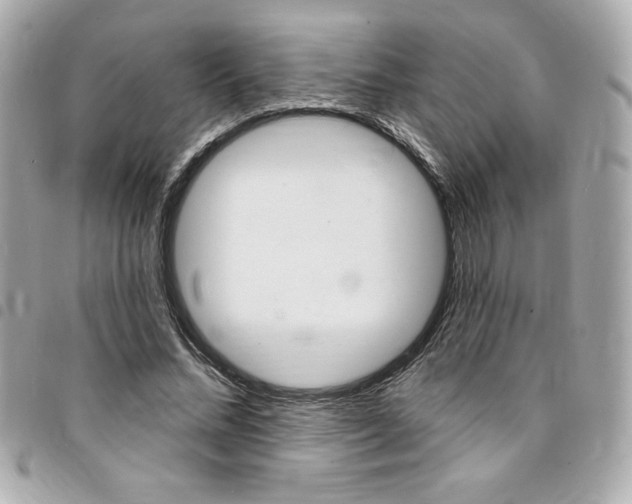 X0000095510684200712140935
