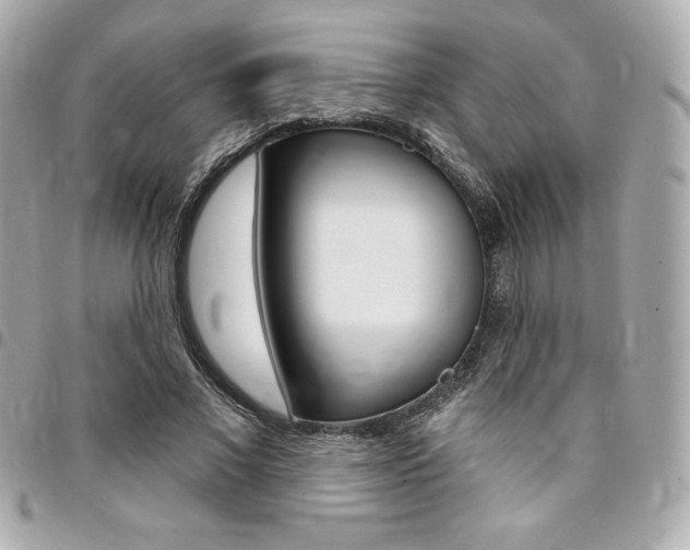 X0000095510685200712140935