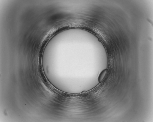 X0000095510686200712140935