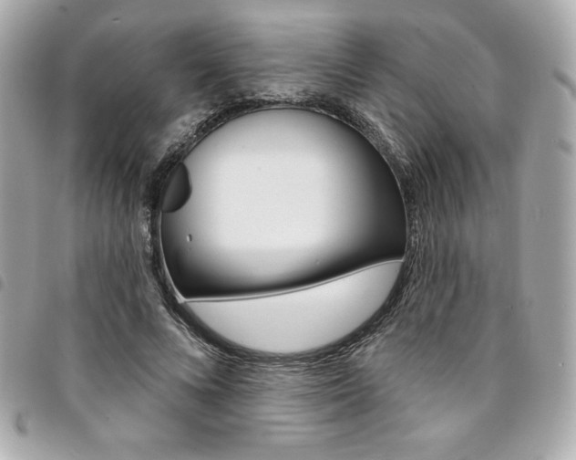 X0000095510688200712140935