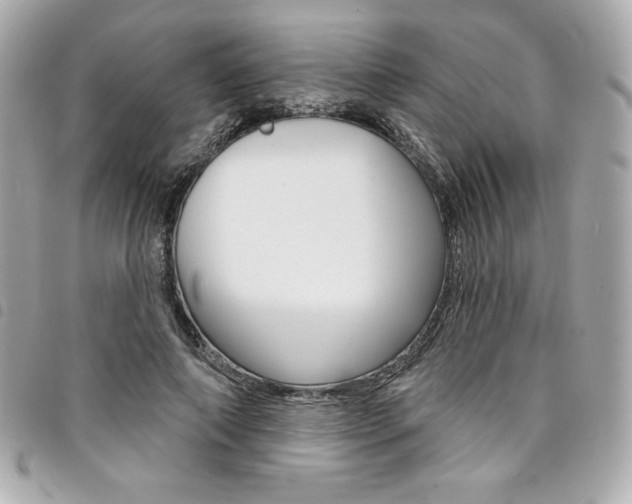 X0000095510690200712140935