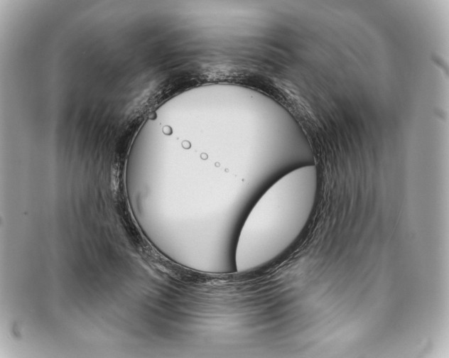 X0000095510691200712140935
