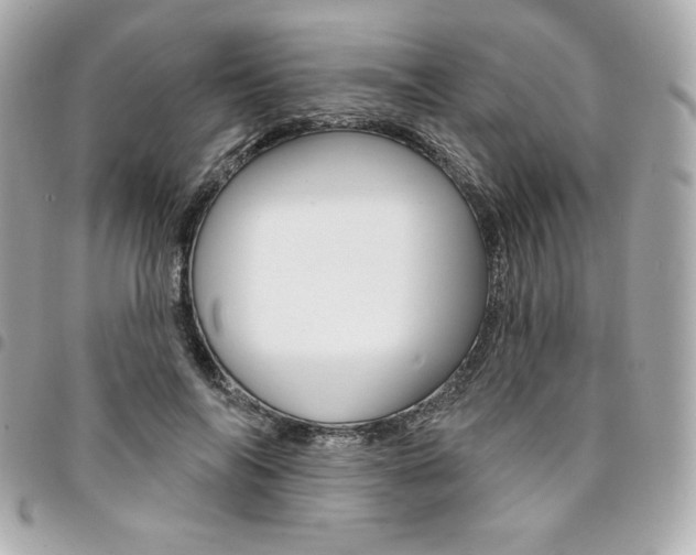 X0000095510694200712140935
